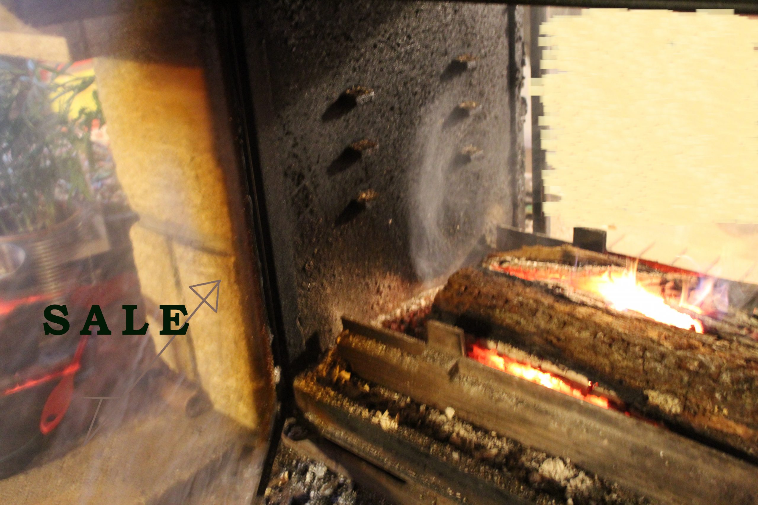 nettoyage écologique insert de chemniée